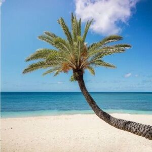 Meet your Posher Alexandria